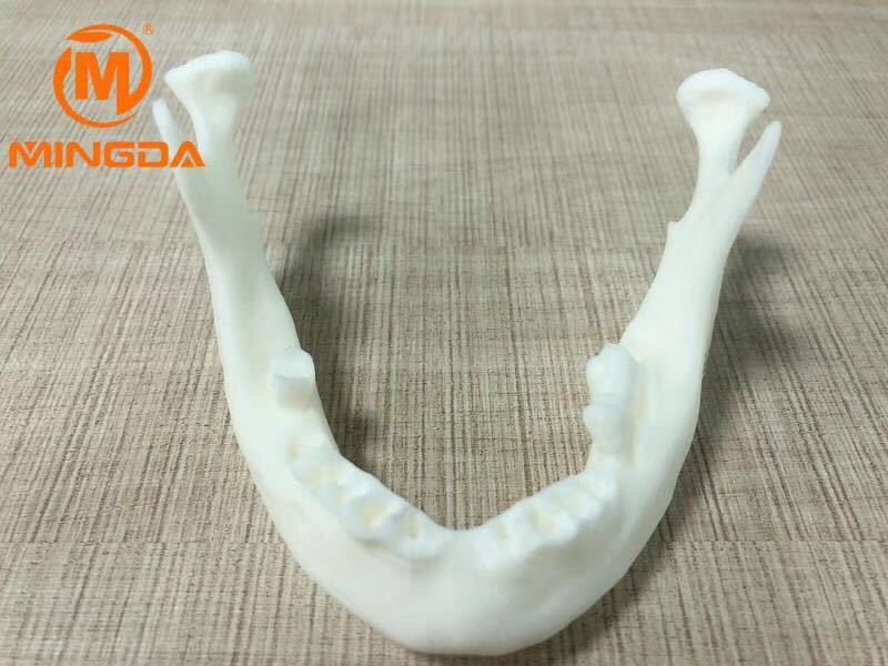 工業(yè)級3D打印機在牙科行業(yè)的應用(圖2)